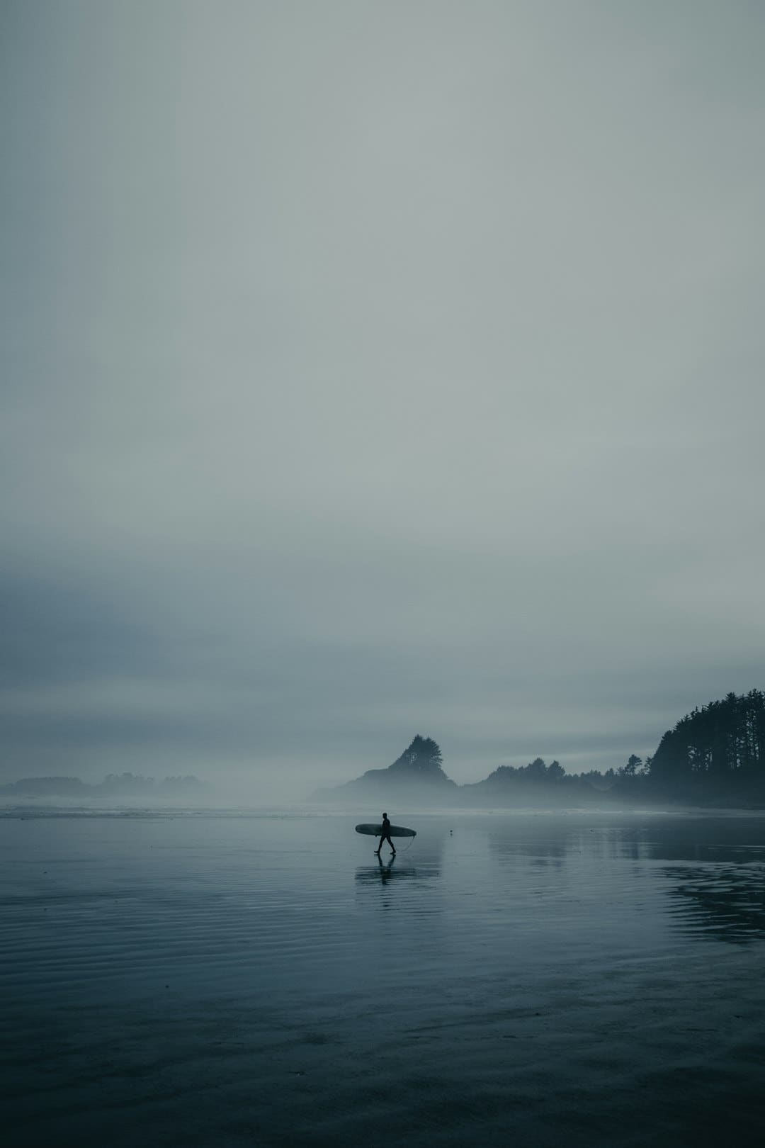 羊毛衫会缩水吗